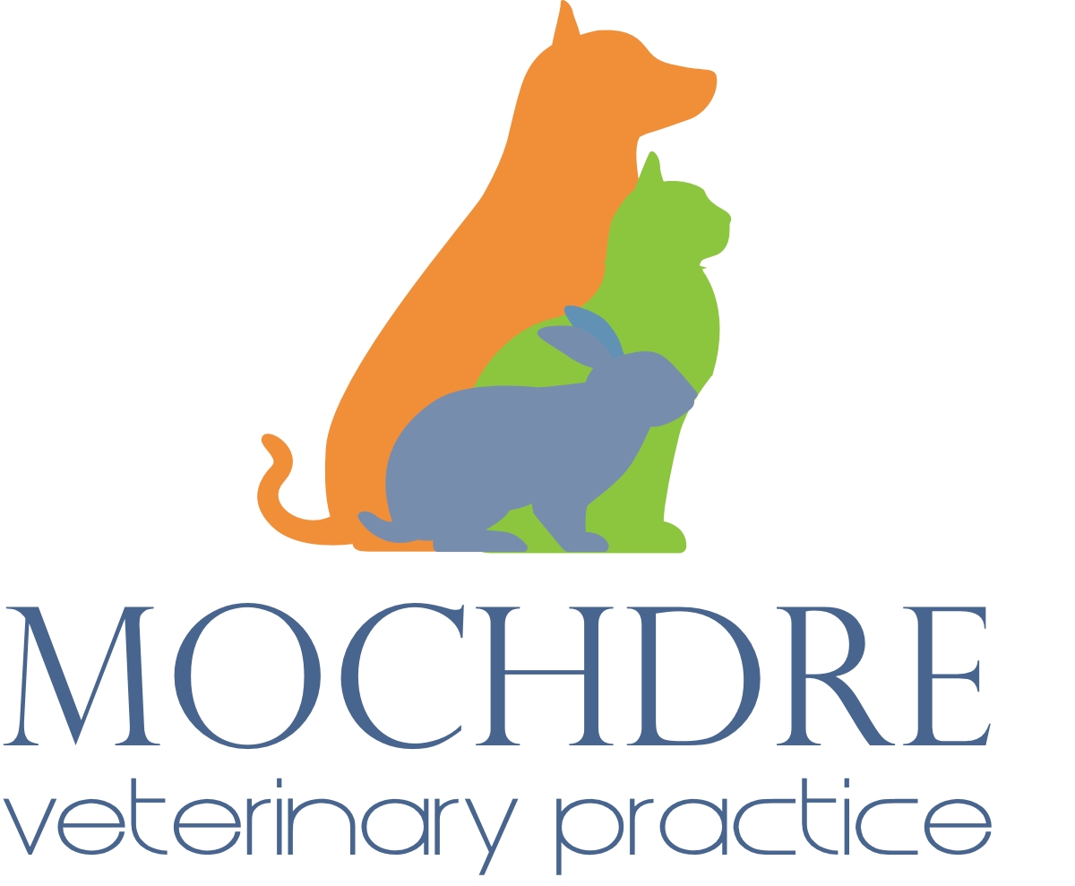 Pet Loving Mentor Needed